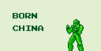 Fighting Simulator: 2-in-1 Flying Warriors Gameboy Screenshot