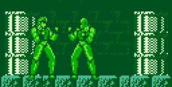 Fighting Simulator: 2-in-1 Flying Warriors Gameboy Screenshot
