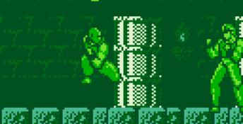 Fighting Simulator: 2-in-1 Flying Warriors Gameboy Screenshot