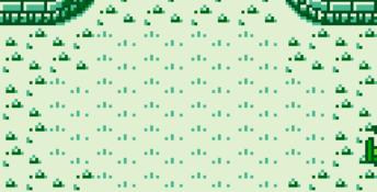 Final Fantasy Adventure Gameboy Screenshot