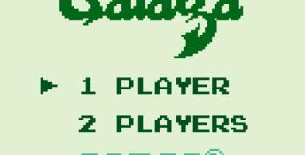 Galaga & Galaxian
