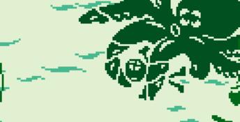 Game & Watch Gallery Gameboy Screenshot
