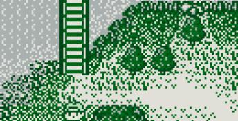 Legend of the River King GB Gameboy Screenshot