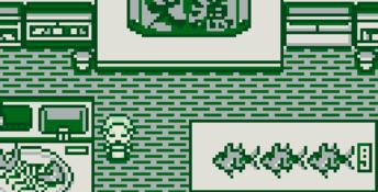 Legend of the River King GB Gameboy Screenshot
