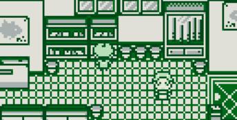 Legend of the River King GB Gameboy Screenshot