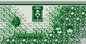 Legend of the River King GB Gameboy Screenshot