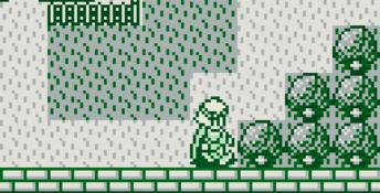 Monster Maker Gameboy Screenshot