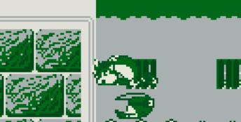 Mr. Nutz Gameboy Screenshot