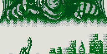 Ninja Gaiden Shadow