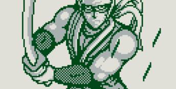 Ninja Gaiden Shadow