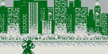 Ninja Gaiden Shadow