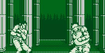 Outburst Gameboy Screenshot