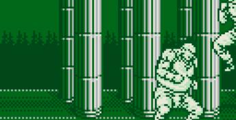 Outburst Gameboy Screenshot