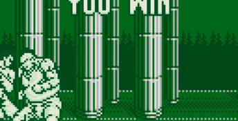 Outburst Gameboy Screenshot