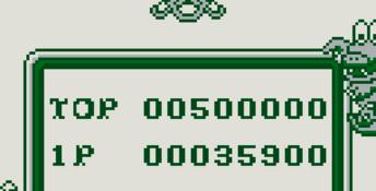 Pinball: 66-hiki Gameboy Screenshot