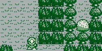 Rolan's Curse