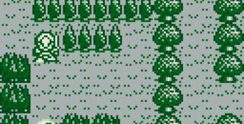 Rolan's Curse Gameboy Screenshot