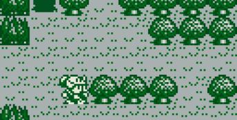 Rolan's Curse Gameboy Screenshot