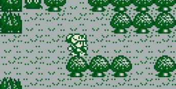 Rolan's Curse Gameboy Screenshot