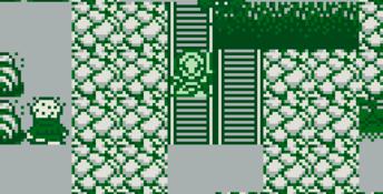 Rolan's Curse Gameboy Screenshot