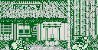 Samurai Spirits Gameboy Screenshot