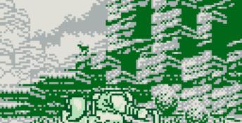 Samurai Spirits Gameboy Screenshot