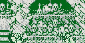 Samurai Spirits Gameboy Screenshot