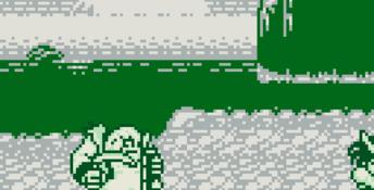 Samurai Spirits Gameboy Screenshot