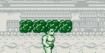 Sumo Fighter Gameboy Screenshot