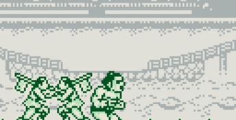 Sumo Fighter Gameboy Screenshot