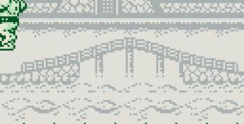 Sumo Fighter Gameboy Screenshot