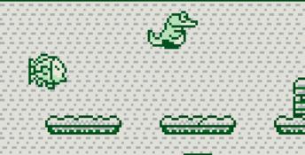 Tail 'Gator