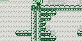 Tail 'Gator Gameboy Screenshot