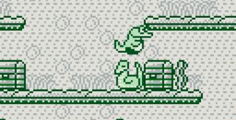 Tail 'Gator Gameboy Screenshot