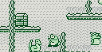Tail 'Gator Gameboy Screenshot