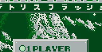 Tetris Flash Gameboy Screenshot