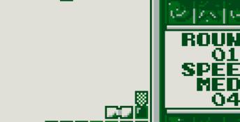 Tetris Flash Gameboy Screenshot