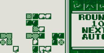 Tetris Flash Gameboy Screenshot