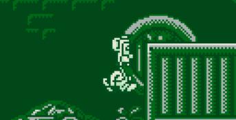 The Fidgetts Gameboy Screenshot
