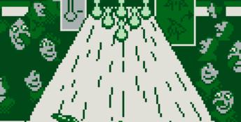 The Hunchback of Notre Dame Gameboy Screenshot
