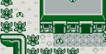 The Legend of Zelda: Link's Awakening Gameboy Screenshot