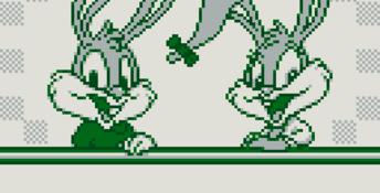 Tiny Toon Adventures: Wacky Sports