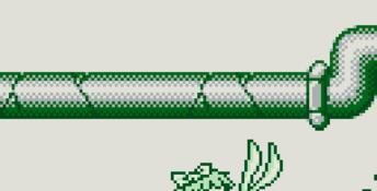 Tiny Toon Adventures: Wacky Sports Gameboy Screenshot
