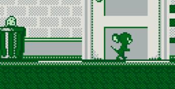Tom & Jerry Gameboy Screenshot