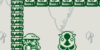 Wario Land: Super Mario Land 3