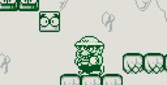 Wario Land: Super Mario Land 3