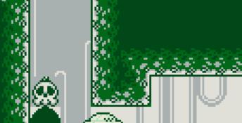 Wario Land: Super Mario Land 3 Gameboy Screenshot
