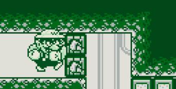 Wario Land: Super Mario Land 3 Gameboy Screenshot