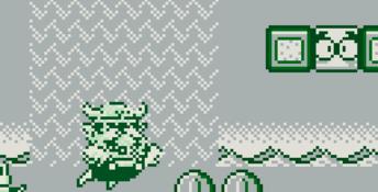 Wario Land: Super Mario Land 3 Gameboy Screenshot