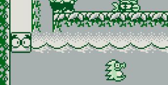 Wario Land: Super Mario Land 3 Gameboy Screenshot